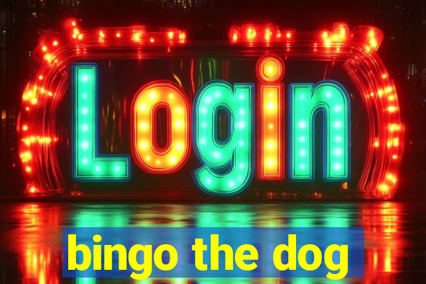 bingo the dog