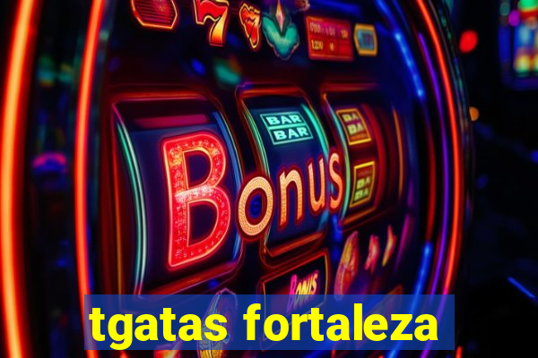 tgatas fortaleza