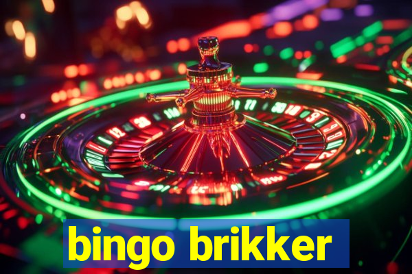 bingo brikker