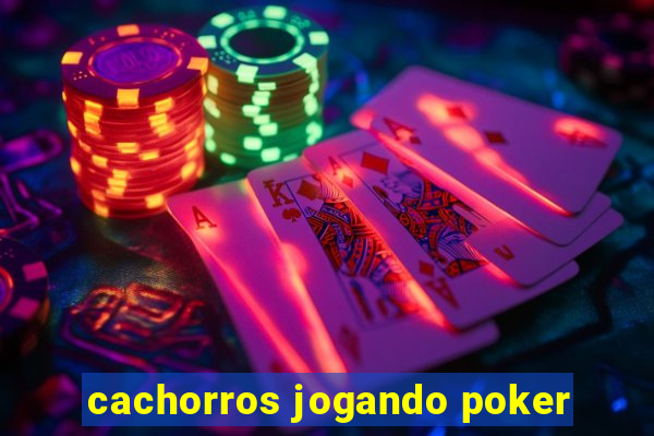 cachorros jogando poker