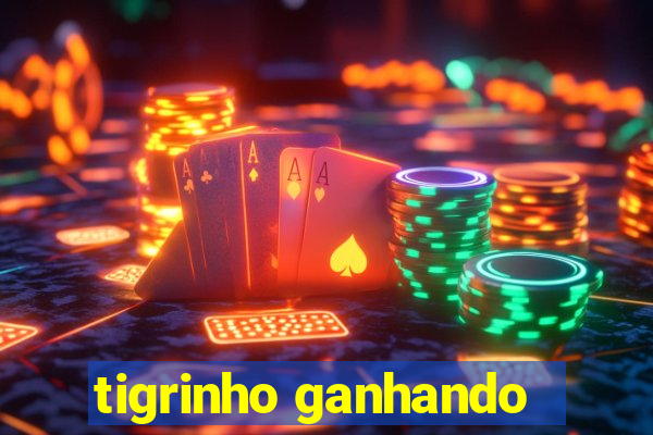 tigrinho ganhando