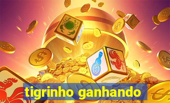 tigrinho ganhando