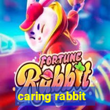 caring rabbit