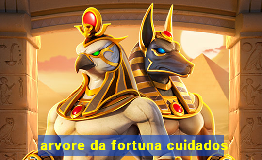 arvore da fortuna cuidados