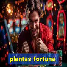 plantas fortuna