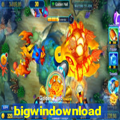 bigwindownload