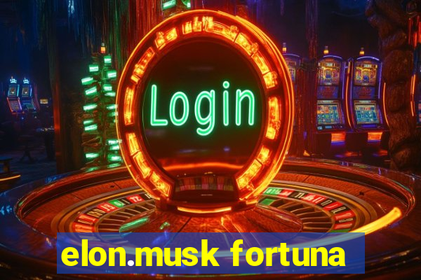 elon.musk fortuna