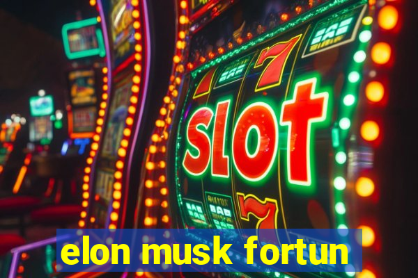 elon musk fortun