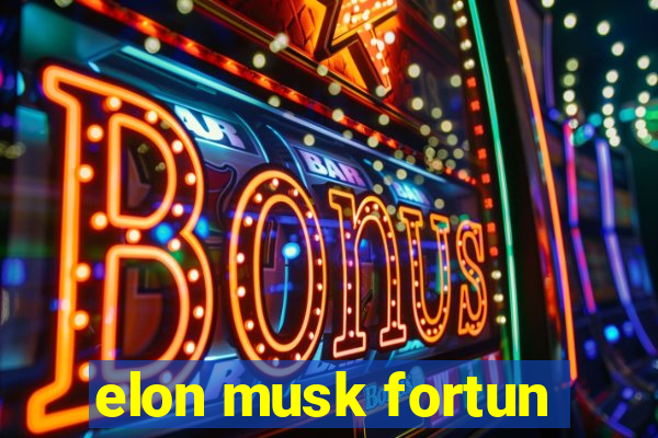 elon musk fortun