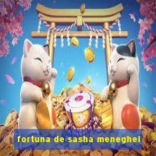 fortuna de sasha meneghel