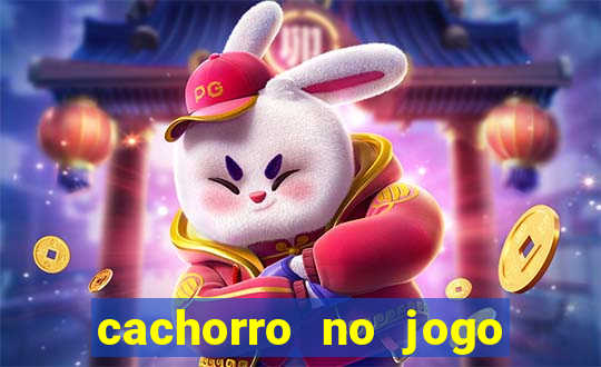 cachorro no jogo do bicho