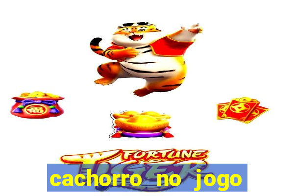 cachorro no jogo do bicho