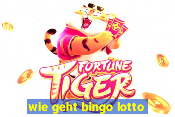 wie geht bingo lotto