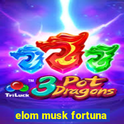 elom musk fortuna