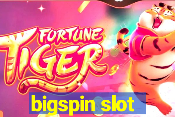 bigspin slot