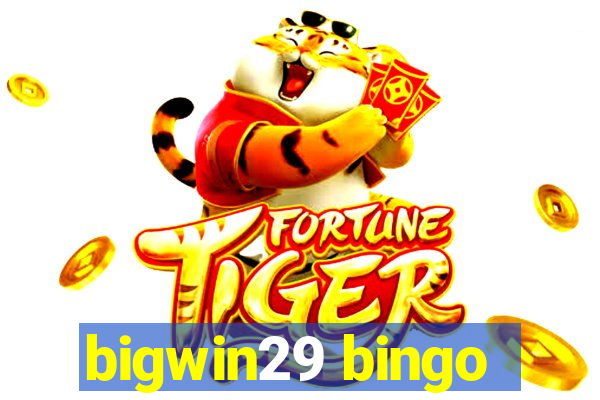 bigwin29 bingo