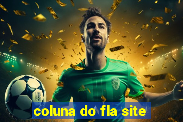 coluna do fla site