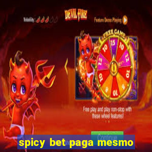 spicy bet paga mesmo