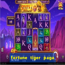 fortune tiger paga que horas