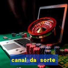 canal da sorte bingo de hoje