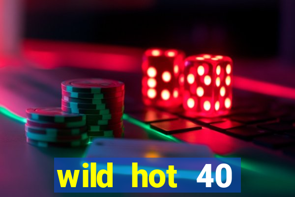 wild hot 40 christmas slot