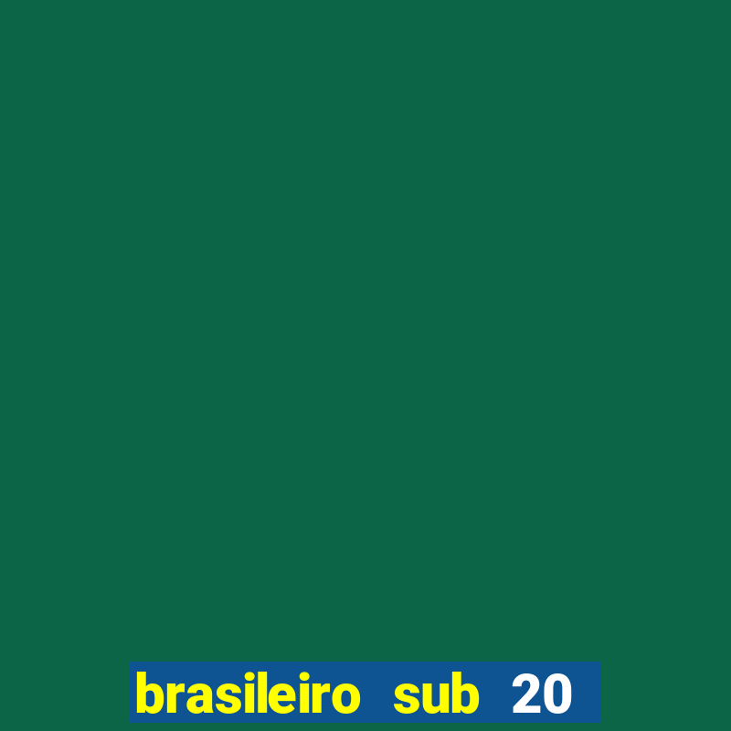 brasileiro sub 20 ao vivo