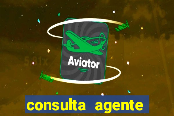 consulta agente autuador sp