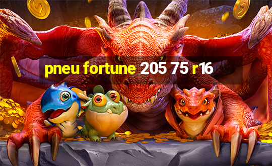 pneu fortune 205 75 r16