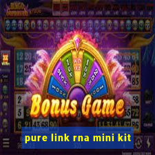 pure link rna mini kit