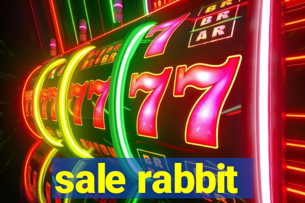 sale rabbit