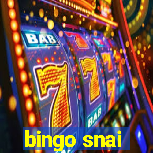 bingo snai