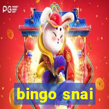 bingo snai