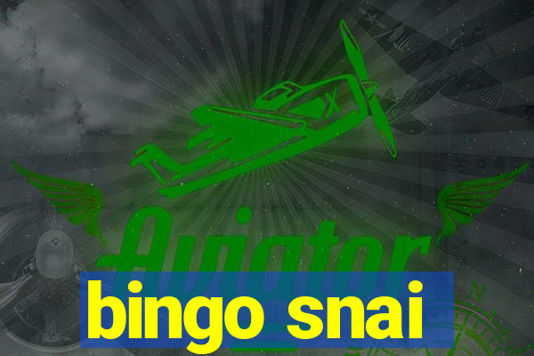 bingo snai