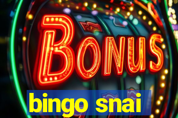 bingo snai