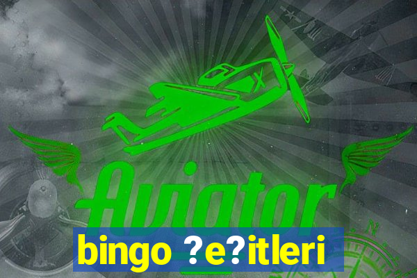 bingo ?e?itleri