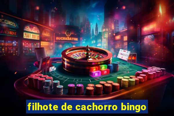 filhote de cachorro bingo