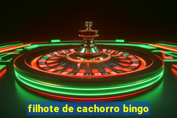 filhote de cachorro bingo