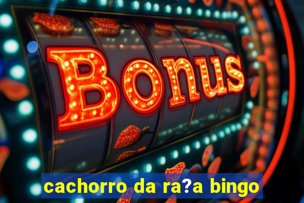 cachorro da ra?a bingo