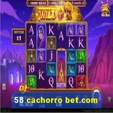 58 cachorro bet.com