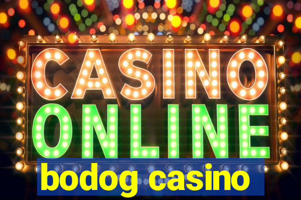 bodog casino