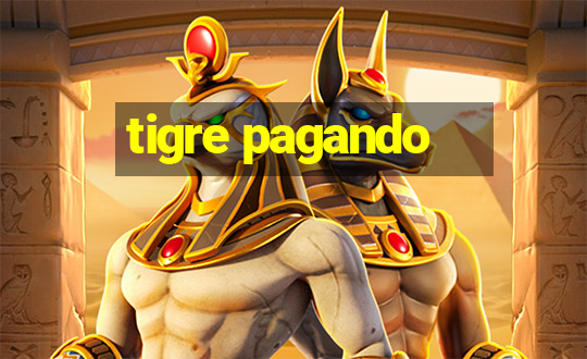 tigre pagando