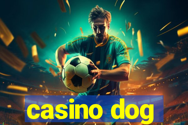 casino dog