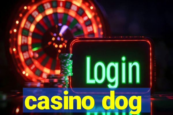 casino dog