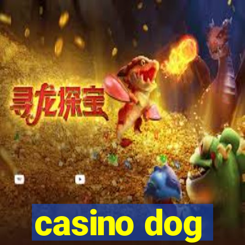 casino dog