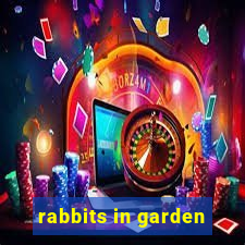 rabbits in garden