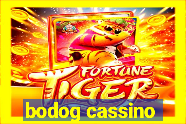 bodog cassino