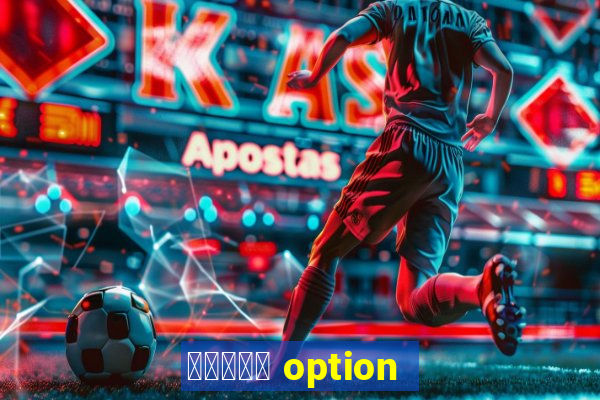 オプション option