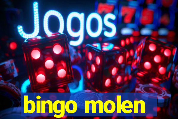 bingo molen