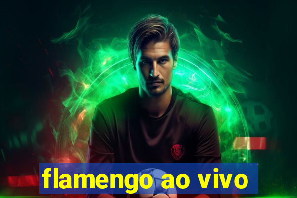 flamengo ao vivo