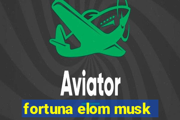 fortuna elom musk